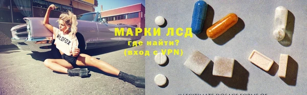 мяу мяу мука Дмитриев
