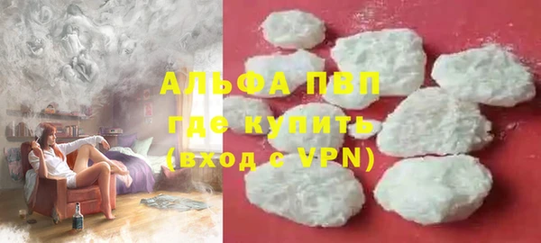мяу мяу мука Дмитриев
