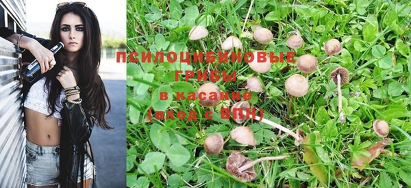 герыч Дмитров