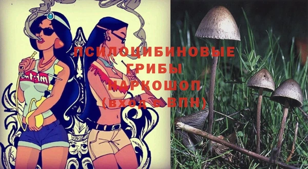 мяу мяу мука Дмитриев