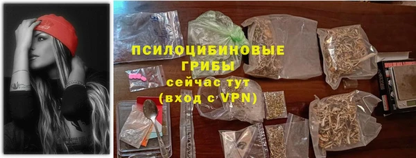 мяу мяу мука Дмитриев